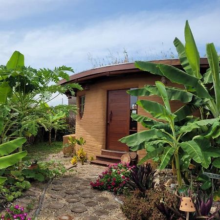 Eco Loft Maymuna: Seu Loft Ecologico Pertinho Da Praia Villa Pôrto de Pedras Екстериор снимка