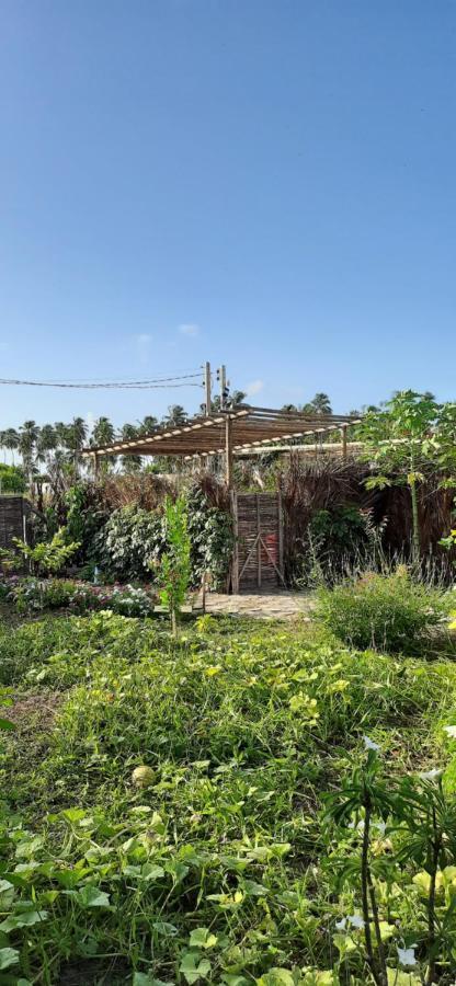 Eco Loft Maymuna: Seu Loft Ecologico Pertinho Da Praia Villa Pôrto de Pedras Екстериор снимка
